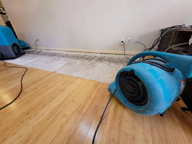 Professional Structural Drying technician working in Beechgrove, TN